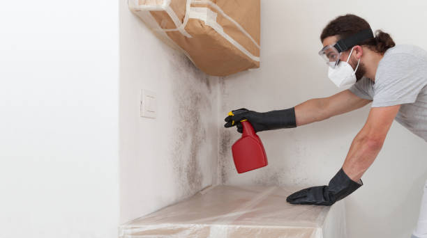 Professional Bathroom Mold Removal technician working in Moncure, NC